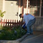 Cambria_2015_0312 (November 08, 2015)